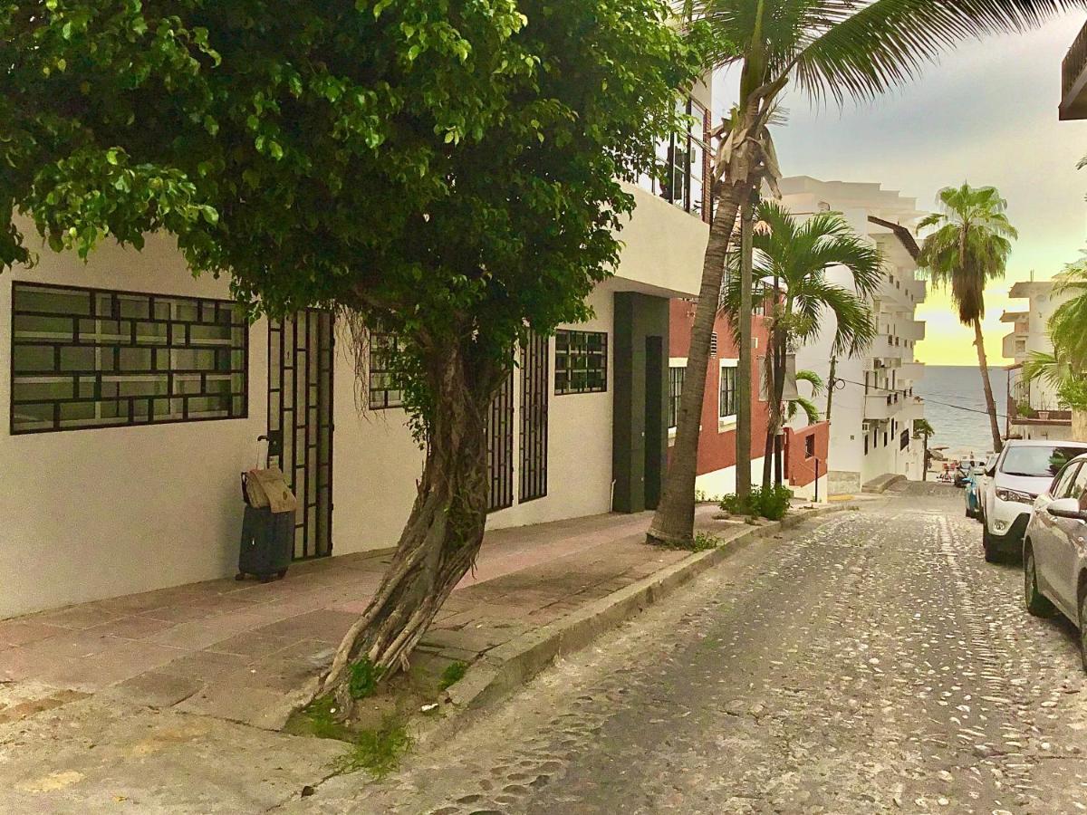 Pilitas Apartments Vallarta Puerto Vallarta Bagian luar foto